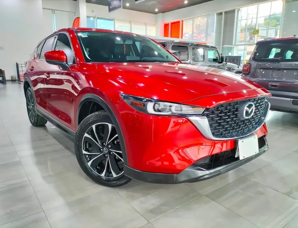 Fotografía en tamaño completo