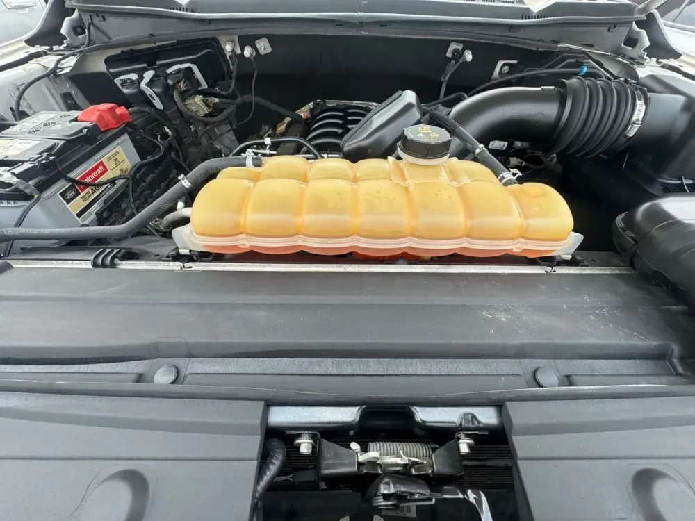 Fotografía en tamaño completo