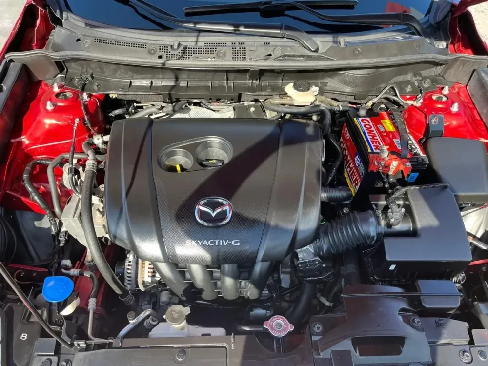 Fotografía en tamaño completo