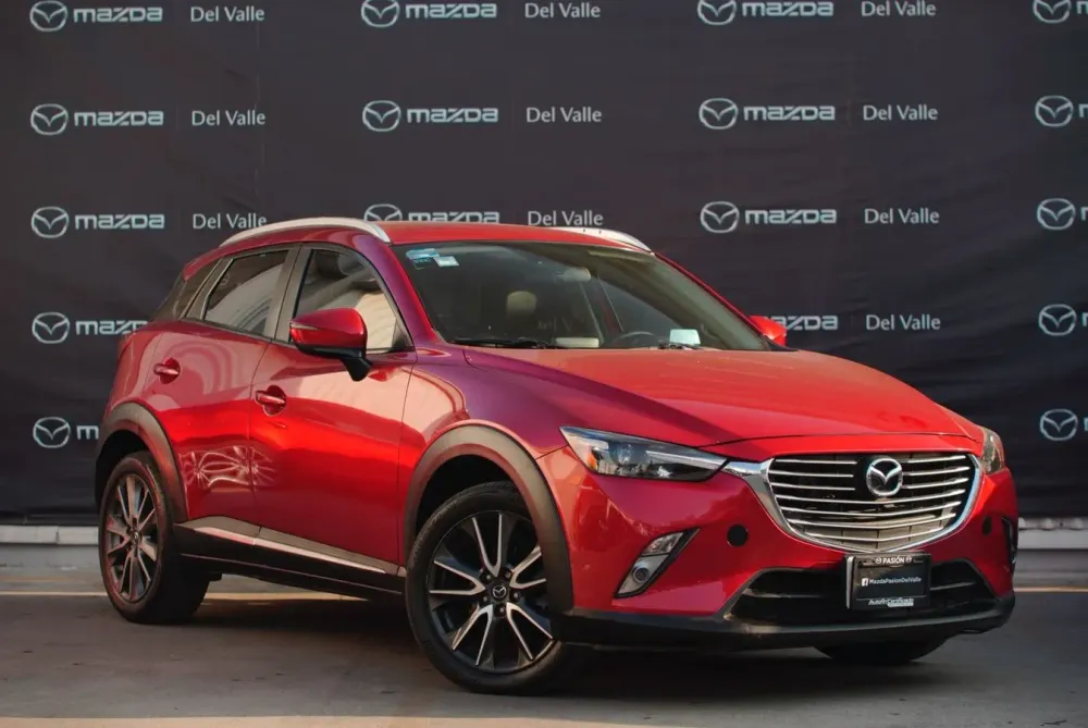 Fotografía en tamaño completo