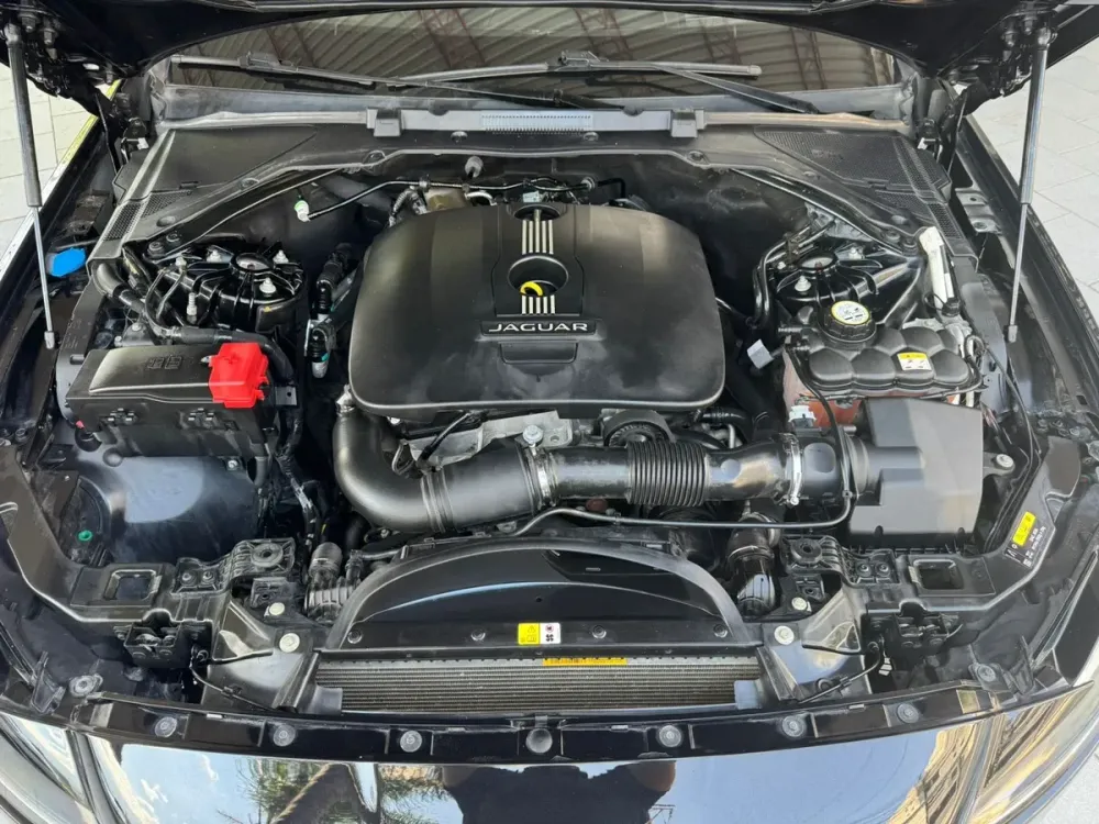 Fotografía en tamaño completo