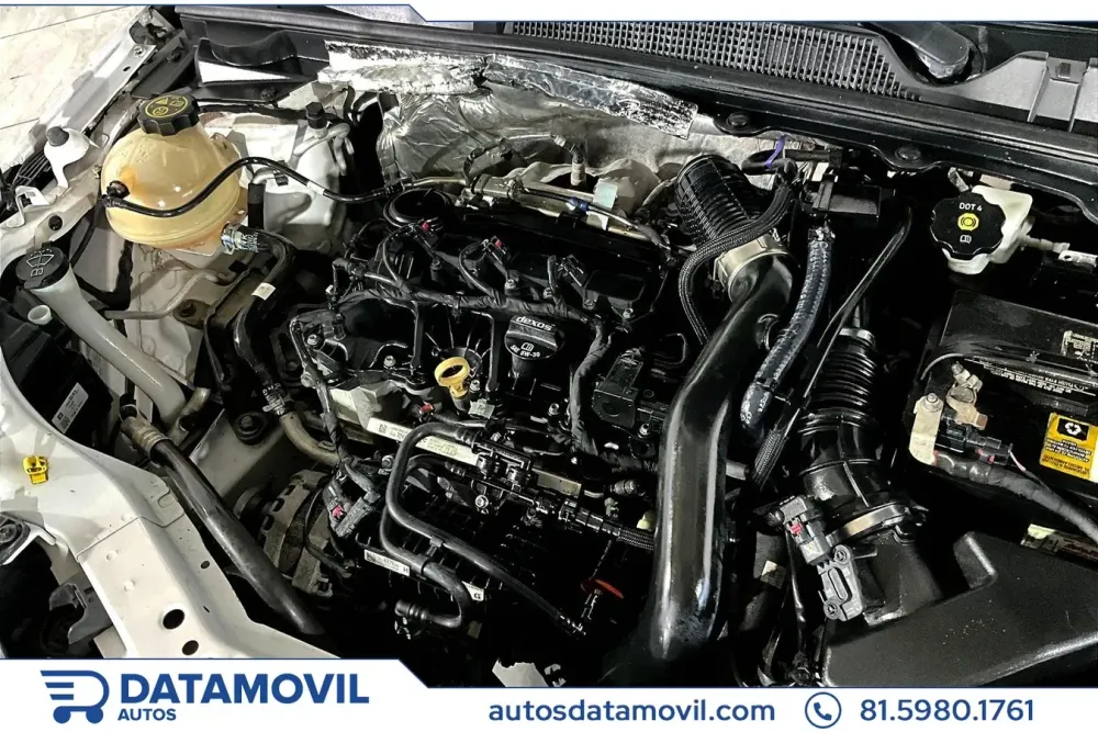 Fotografía en tamaño completo