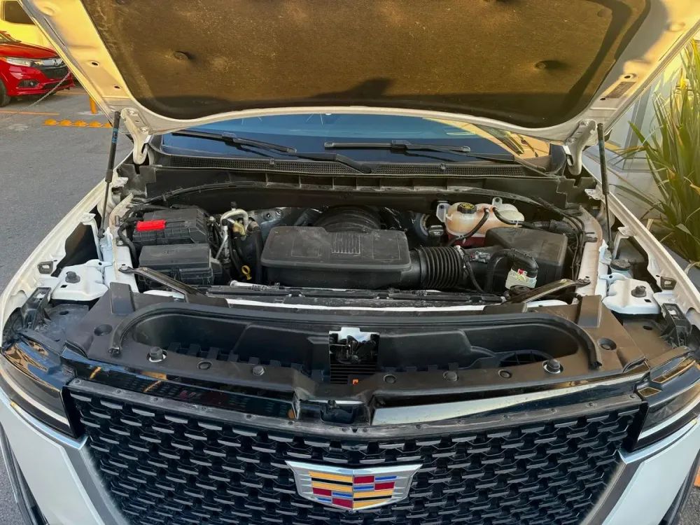 Fotografía en tamaño completo