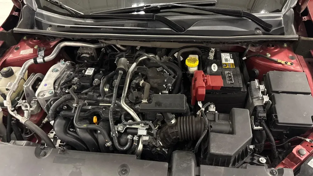 Fotografía en tamaño completo