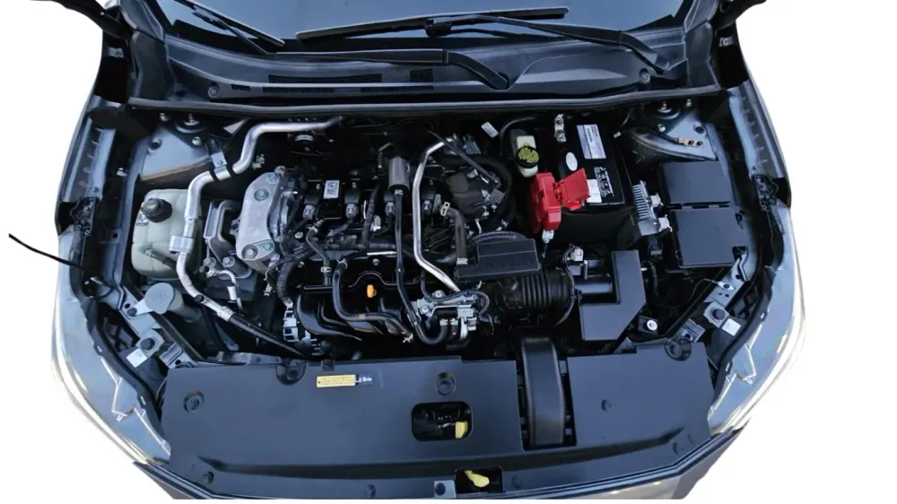 Fotografía en tamaño completo