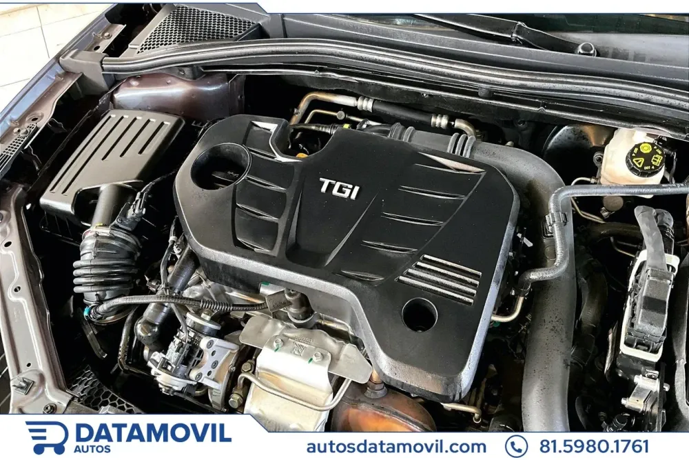 Fotografía en tamaño completo