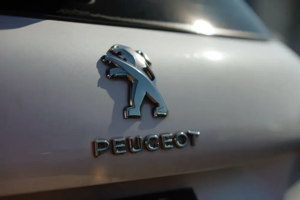 Fotografía en tamaño completo