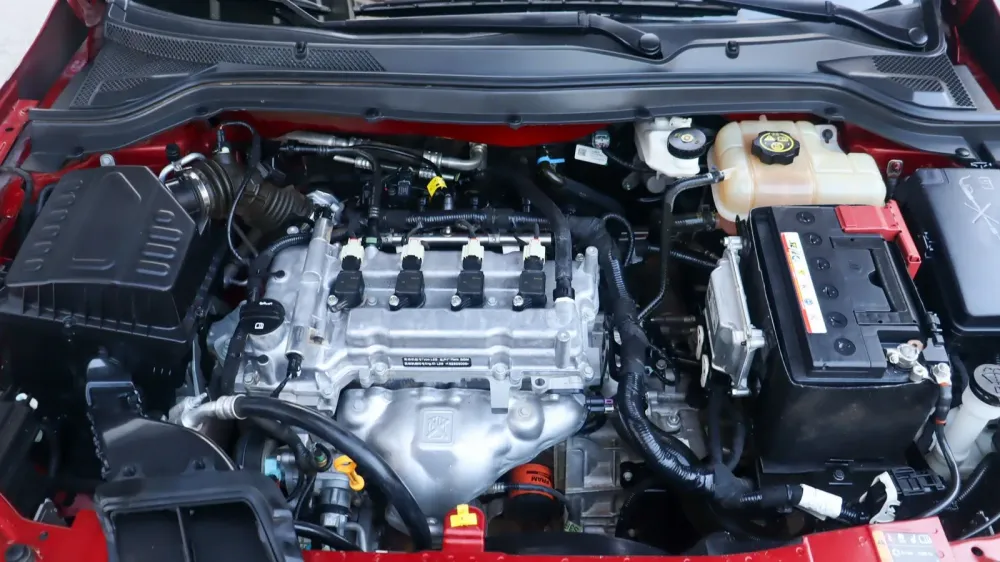 Fotografía en tamaño completo