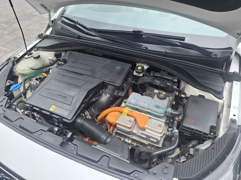 Fotografía en tamaño completo