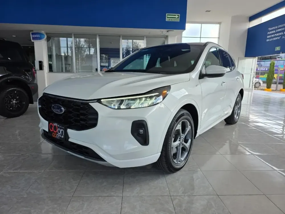 Fotografía en tamaño completo