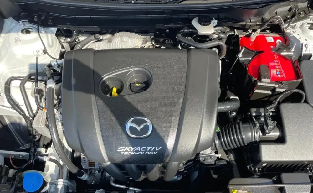 Fotografía en tamaño completo