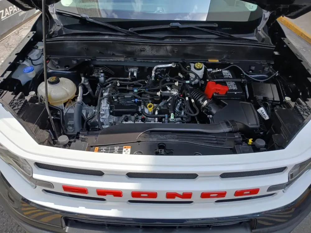 Fotografía en tamaño completo