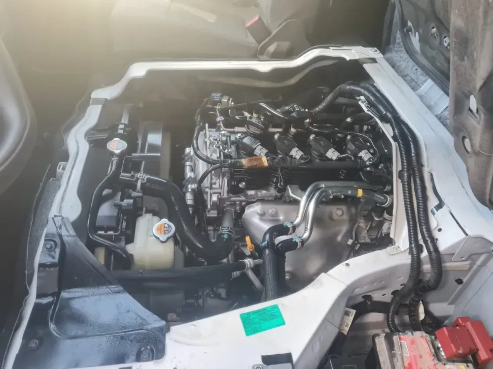 Fotografía en tamaño completo