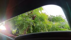 Fotografía en miniatura