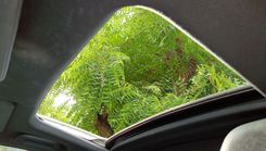 Fotografía en miniatura