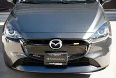 Fotografía en miniatura