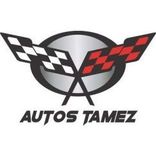 Logotipo de AUTOS TAMEZ